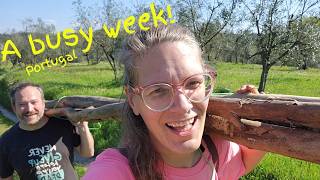 Working hard to make this year successful on our homestead
