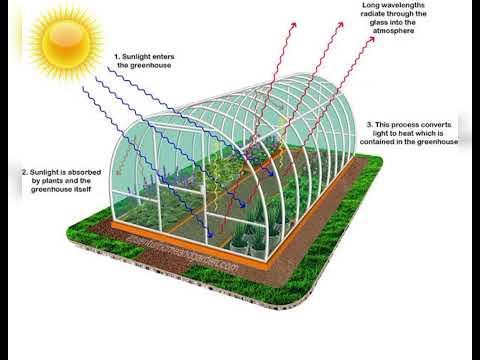 Green House Structure