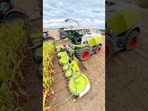 BiG Chopper at Flawborough Farms