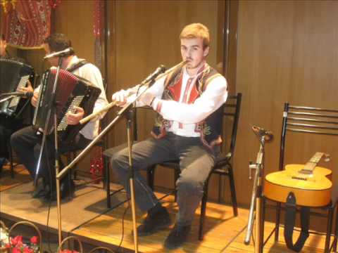 Tome Sazdovski - Zasvirel Stojan