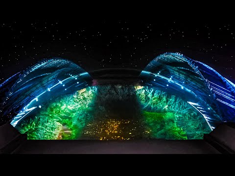 They Discovered A Spaceship That Contained A Whole World In It