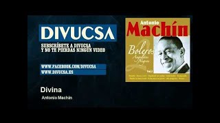 Divina Lyrics English Translation