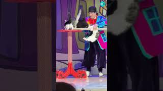 Download lagu Kucing Ninja dengan Refleks Super Cepat! Bikin Kaget! 😱😹 #shorts #kucing mp3