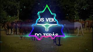 Download lagu 《Mano walter 》 juramento do dedinho mp3