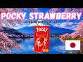 Pocky Japan Strawberry A Brief History Five Part Flavor Tasting Mini Series