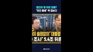 법인이 왜 이런 집을?..'고가 주택' 싹 다 잡는다 #shorts