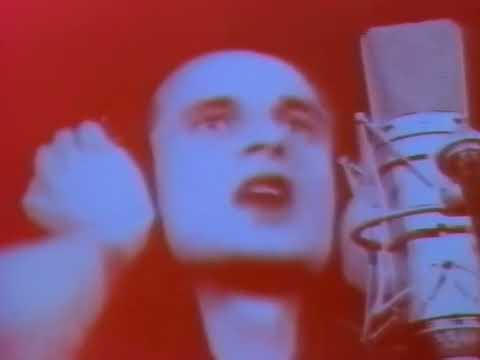 🎬Paweł Kukiz & Emigranci – Na falochronie - 1990 🌊🎸✨