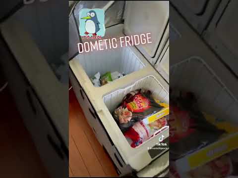 Dometic Fridge Review ❄️🚚✅ #dometicfridge #dometic #vanlife #vanliving #vanadventures