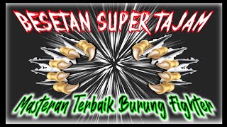 Download lagu masteran burung besetan tajam || kombinasi masteran burung kecil mp3