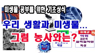 우리생활과 미생물, 그럼 농사와는?- 미생물의 세계, 미생물 농법, 미생물의 효과, 농사용 미생물, EM 이…