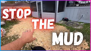 How To Stop Dogs Bringing Mud In House