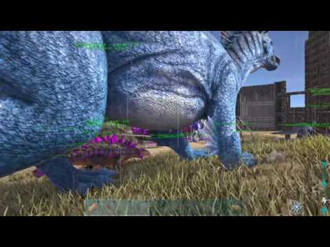 ARK (15) - Bredding - Baby Tusoteuthis (Tintenfisch) schlüpft (Deutsch/German)