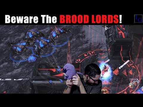 Dealing With BROOD LORDS! | Live Protoss versus Zerg Ladder Game | StarCraft 2 SC2 PvZ ZvP Match