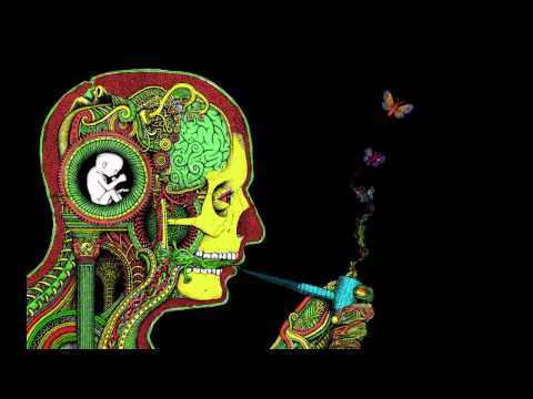 Prezident - Wenn das Licht stimmt (Remix)