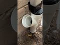Downspout Drainage Solution