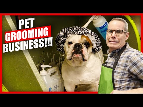 , title : 'How They Started A SUCCESSFUL Dog Grooming Business!'