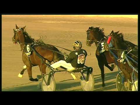 Trotto 22/11/2020 - 6ª corsa