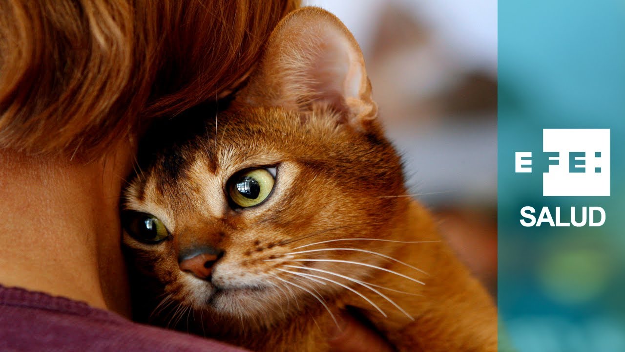 Miriam Aide Quintana Espinosa-10