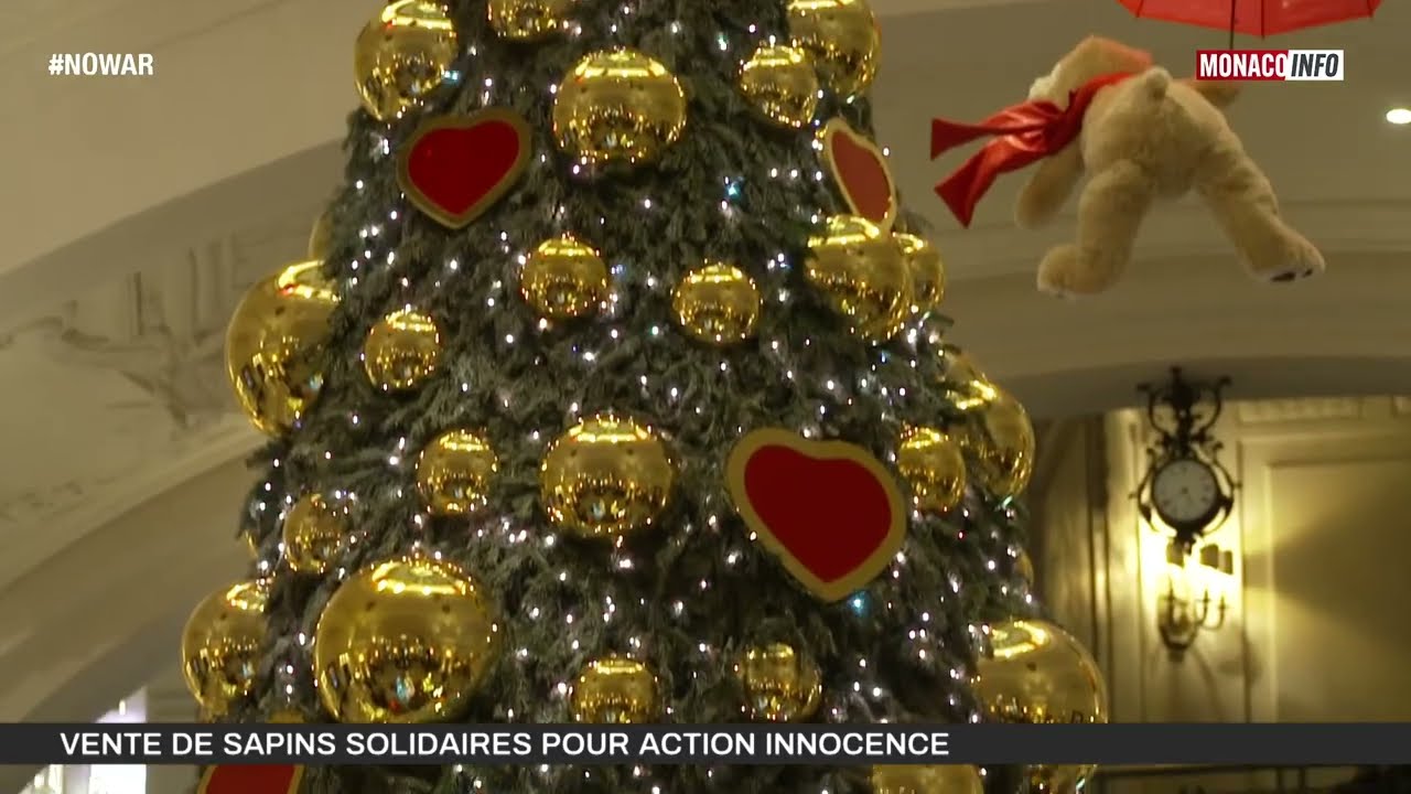 Solidarité : Vente de sapins solidaires pour action innocence