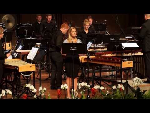 Slagwerkensemble CMV Wilhelmina Bedum - Different Equal (WMC 2013)