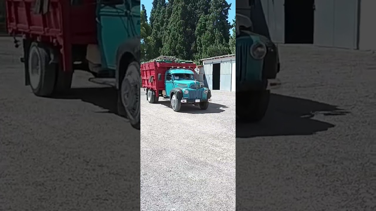 Antiguo camión Ford de los años 40 continua acarreando uva en la vendimia en Mendoza