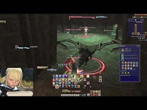 HoH Solo PLD/Paladin Floors 51-100 Clear