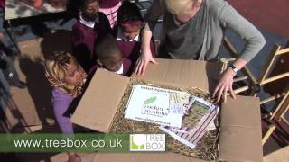 How to plant an instant Rocket garden