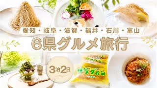 【🇯🇵一時帰国】日本グルメ最高⭐︎徳島→愛知→滋賀→福井→富山→石川!食べまくり旅