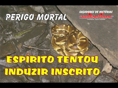 ESPÍRITO TENTA INDUZIR INSCRITO - O PERIGO ESTAVA POR TODOS OS LADOS.