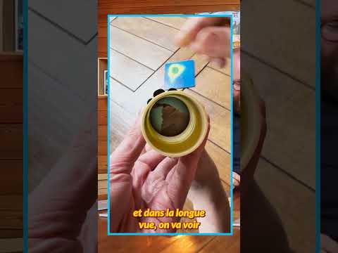 ILE%20EN%20VUE%20MOUSSAILLONS