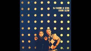 DJ Vadim & Sena - Give More pt. 2