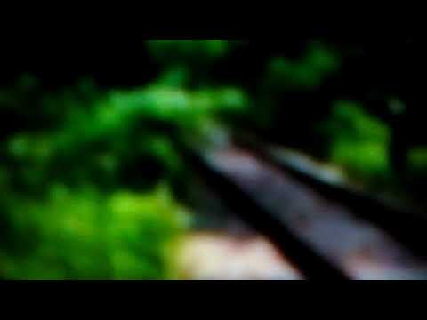 IR1369 Valea lui Mihai Brașov trecând în viteză prin Vadu Crișului - Peștera (26.04.2016).