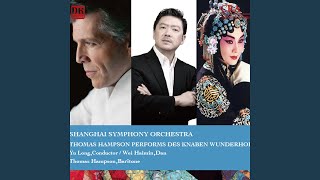 Des Knaben Wunderhorn: Lied des Verfolgten im Turm