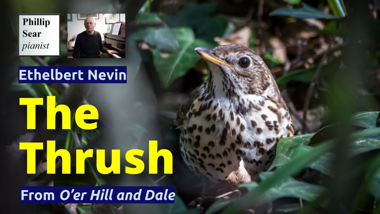 Ethelbert Nevin: The Thrush