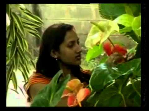 Babila Mal - Yasapala Perera