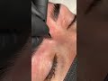 Eyebrow Plucking | satisfying | #shorts #eyebrows #plucking