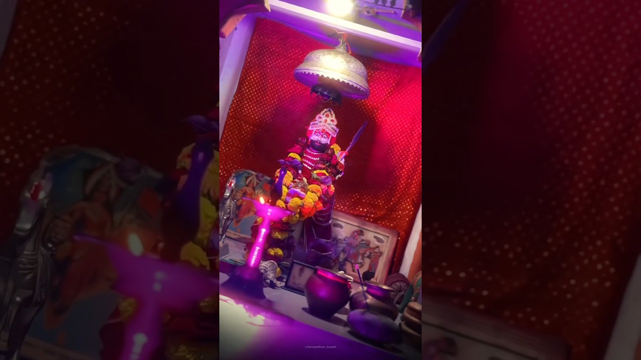 જય રામાપીર 🙏 #shortvideo #gujaratistatus