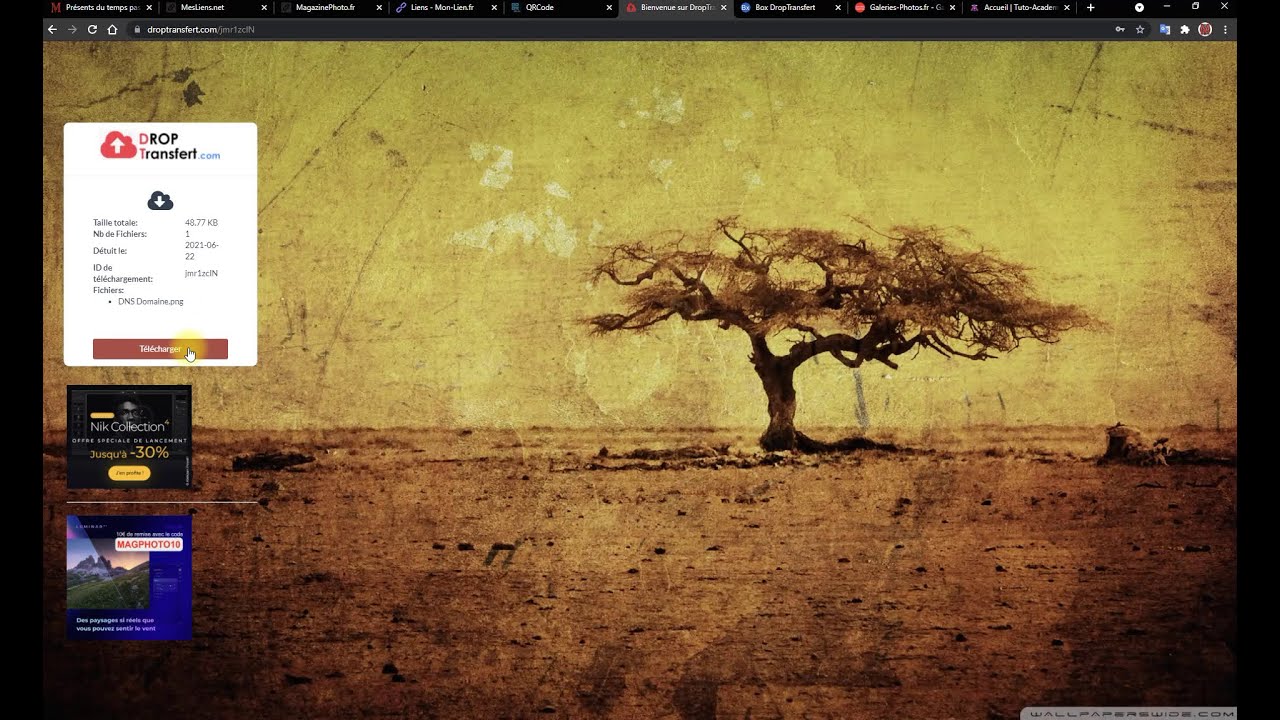 Nos services en ligne