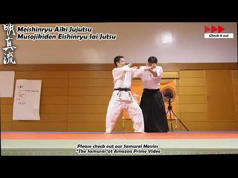 Meishinryu Aikido techniques 明真流　合気道の稽古 #aikido #合気道 #天照会 2025 0926