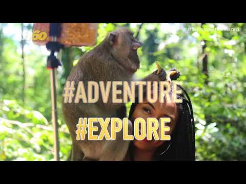 How To Use Instagram Travel Hashtags To Get More Followers