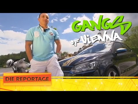 Show, loud exhaust, and horsepower: The Vienna Bastards at the GTI meet | 2/4 | The report | ATV