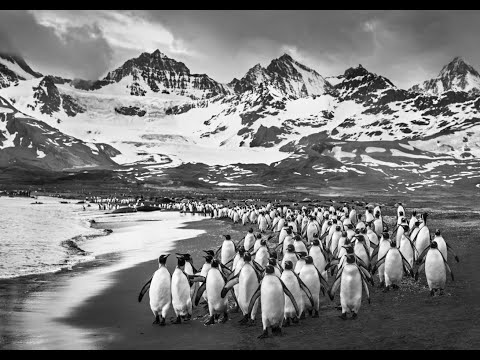 David Yarrow's Journey To The Edge Of The World