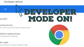How to Turn on Developer Mode on Chromebook! (read desc)