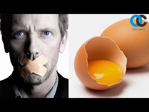 Los huevos y el colesterol (el mito de las grasas)
