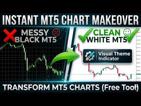 Video Visual Theme Indicator