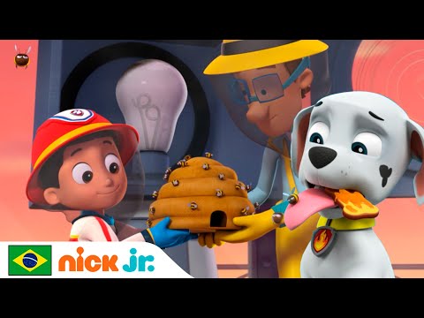 Capa de Patrulha Canina | Os filhotes encontram uma nova casa para as abelhas! | Nick Jr. em Português