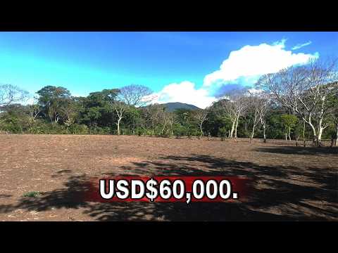 Fruit Farm on 1.75 Acres of Land FOR SALE in Diriomo #GranadaNicaragua