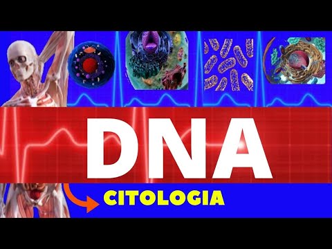 DNA - ESTRUTURA E FUNÇÃO - ÁCIDOS NUCLEICOS - O QUE É DNA - CITOLOGIA - ENSINO SUPERIOR
