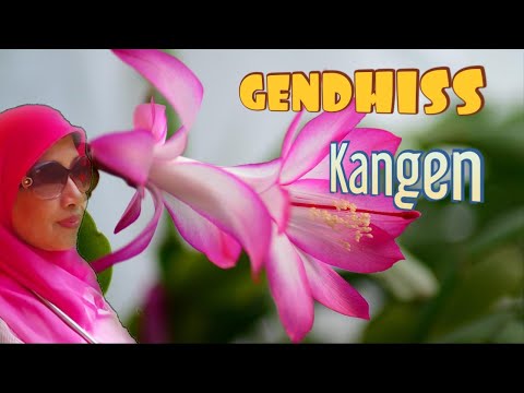 Kangen | Gendhiss | pop jawa suriname