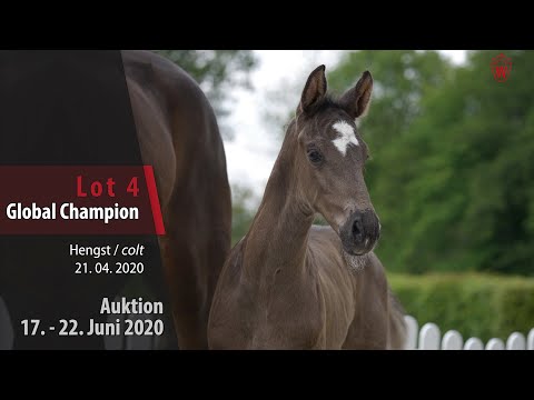 04 Global Champion Hengst v. Global Player - Bretton Woods